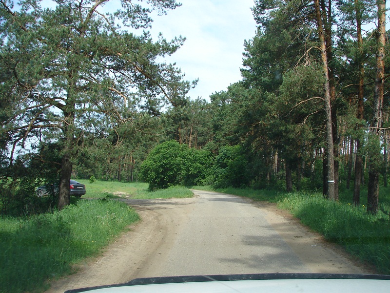 DSC02897.JPG